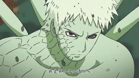 带土仙人爆料视频完整版,完整版内容深度解析